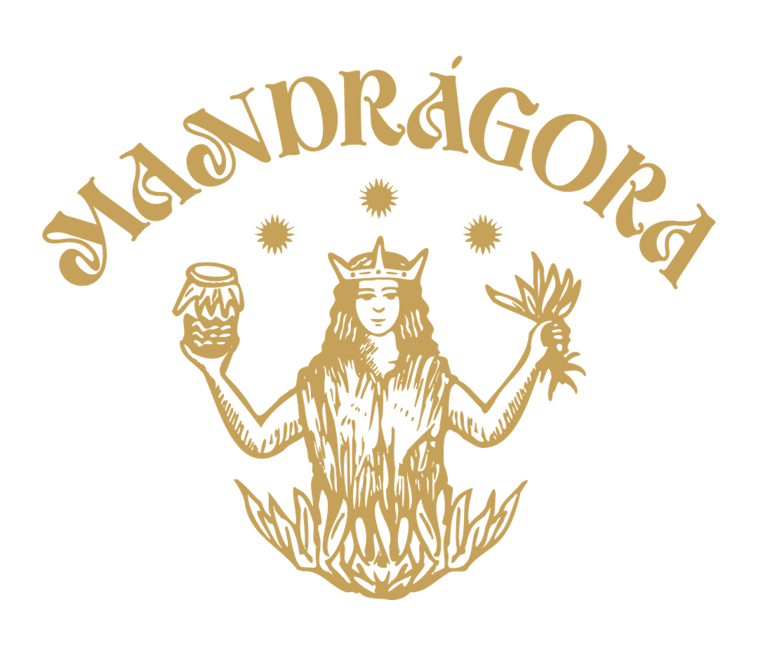 Mandragora — Kombucha artesanal